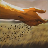 Dios reparte buenas semillas a manos llenas