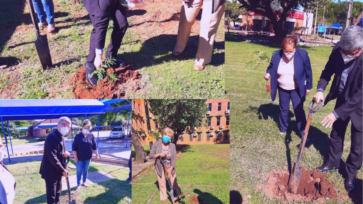 61 árboles fueron plantados en Santa Librada por Asociación de profesores