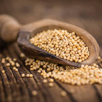 Parábola del grano de mostaza